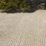 徳島城表御殿の石庭では冬日差に箒目が浮かび上がって見えました。　・冬日差す御殿石庭箒目に(和良)