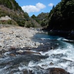 月ヶ谷温泉前の勝浦川の河鹿の鳴き声は合唱するかのようでした。　・河鹿鳴くまるで合唱するやうに（和良）