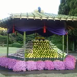 新宿御苑の菊花壇展では明治150年記念の六角菊花壇が展示されました。　　・明治百五十年記念六角菊花壇（和良）