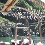 観光船から見た鯉のぼりです。爽やかな風に泳いでいました。　　　　　　　　　　　　　　　　・大歩危は風の渓谷五月鯉(和良)