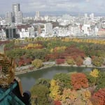 豊臣秀吉が築いた大阪城の天守閣に登って紅葉を見てきました。  ・太閤に見せたき紅葉錦かな （和良）