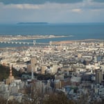 眉山山頂から見たお正月の徳島です。吉野川が滔滔と海に注いでいました。　　　　　　　　・正月の四国三郎のびやかに(和良)