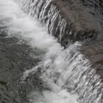 上板町の第十樋門では堰の水に返されながら鮎が遡上していました。　・返されて返されて堰上る鮎(和良)