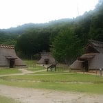 徳島市の史跡公園でほととぎすが鳴いていました。　　　　　　　　　　　・ほととぎす鳴かぬ鳴かぬと待てば鳴く（和良）