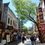 横浜市の横浜中華街を久しぶりに歩いてきました。賑やかでした。　　　・中華街緑陰選び歩きけり(和良)