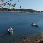高知県の四万十市では四万十川に舟がゆったりと浮かんでいました。　・正月の四万十川のゆったりと(和良)