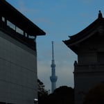 正倉院展が開かれた上野の国立博物館からスカイツリーが見えました。　・秋の日を正倉院展見て過ごす（和良）