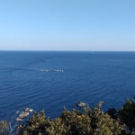 足摺岬から見る太平洋の水平線は丸く地球の丸さを感じました。　　　　　　・初旅は丸い水平線も見て(和良)