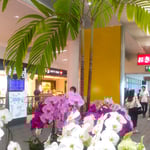 家族16人で沖縄旅行しました。那覇空港の胡蝶蘭は綺麗でした。　　　　・十六人家族揃って夏の那覇(和良)