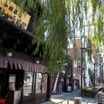 旧東海道の小田原宿の面影を残す家があり柳が散っていました。　・小田原の宿場の跡や柳散る(和良)