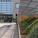 吉野川市鴨島町の菊花展は市役所の前庭でひろびろと行われました。　・市役所の庭一面の菊花展（和良）