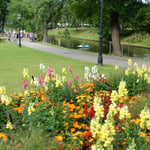 運河の岸辺にある公園ではいろいろな花が競い咲いていました。　　　　　・北国の夏は百花の競ひ咲く（和良）