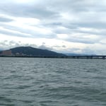 吉野川では目の前を飛ぶ鯵刺の獲物を探す鋭い目にも合いました。　　　・鯵刺の獲物を探す目にも合ひ(和良)