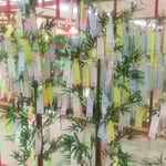 ショッピングモールの七夕の笹に短冊がたくさん吊るされていました。　・短冊や七夕の笹撓るほど(和良)