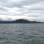 吉野川の中州に鯵刺のコロニーがあり飛んでいる姿も見ました。　　　　・鯵刺の群れにも出合ふ吉野川(和良)