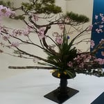 徳島駅前のデパートで春の生花展が開かれていました。　　・春を呼ぶ生花展の明るさよ（和良）