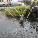 吉野川市鴨島町の江川・鴨島公園には噴水があります。　　・噴水の止み涼風の背中より（和良）