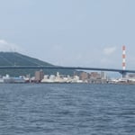 新町川を河口から遡ると末広大橋と眉山が大きく見えて来ました。　　・遊船に眉山大きく見えて来し(和良)