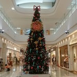 藍住町のショッピングモールでクリスマスツリーを見ました。　　　　　　・ショッピングモール早々聖樹立つ（和良）