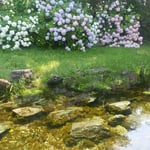 吉野川市の江川湧水源では滾々と清水が湧いていました。　　　　　　　　　　・泉とは水湧き命湧くところ(和良)