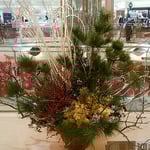 初売りの福袋には新年の夢が詰まっている気持がしました。　　　・買初はアメリカ製の無水鍋（和良）