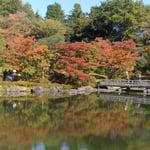 広い日本庭園の紅葉は日本庭園にある茶室からもよく見えました。　　・紅葉の日本庭園茶屋で見る(和良)