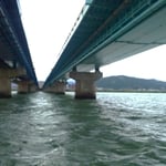 私達の遊船は吉野川大橋の旧橋と新橋の間を横切って行きました。　 　　　・橋の間に眉山も眺め船遊(和良)