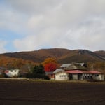 長野県上田市菅平高原は海抜1200メートルにあります。清々しい朝でした。　　　　　　　　　・高原の朝の光や冬紅葉(和良)