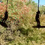 山口家住宅の庭園に面した奥座敷に飾りが吊るされていました。　　　　　・冬日差す庭見る部屋の飾りにも（和良）