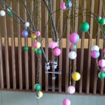 徳島市の料亭・渭水苑の大玄関には繭玉が綺麗に飾られていました。　・小正月ですと繭玉飾られて(和良)