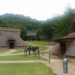 史跡公園の高床式倉庫の鼠返しを蟻が上っていました。　　　　　　　　　・蟻上る鼠返しも何のその（和良）
