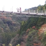 月ヶ谷温泉には勝浦川に架かる大きな吊橋がありました。　　・吊橋を渡れば両手悴んで(和良)