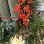 産直市の門松は竹の里らしくどこ見ても手作りの感じがしました。　　・手作りの門松立てて竹の里(和良)