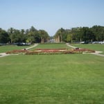 スタンフォード大学の正門広場は広く、椰子の並木が続いていました。  ・大学の正門広し芝青し（和良）