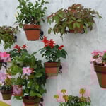 スペイン村では白壁に色鮮やかな花々が掲げられていました。  ・白壁に花のまぶしき秋日和(和良）