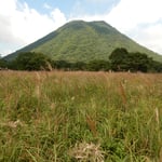 榛名山の麓の花野を歩いていると邯鄲の声が聞こえてきました。　　　　　・邯鄲の榛名山より聞こえ来る（和良）