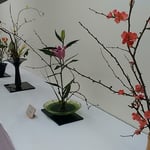 生花展にはいろいろな種類の春の花が並んでいました。　　・生花展巡れば春の香りして（和良）