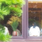 徳島城博物館のお茶の会では芒がどかっと活けられていました。　　　・茶の会のどかつと芒活けられて(和良)