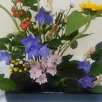 徳島市内のホテルで秋の花が並ぶ生花展を見てきました。　　　・生花の中の桔梗の凛として（和良）