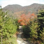 鳴門市大麻山の紅葉も盛り。登山の道は紅葉の道でもあります。  ・大麻へ登る山道紅葉道 （和良）