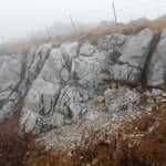 四国カルストに行きましたが霧また霧に包まれていました。　　　　　　　・霧深きカルストの道迷路めく（和良）