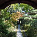 犬山上の城下にある有楽苑の国宝の茶室・如庵を訪ねました。　　　　　　　　　　　　　　　　・国宝の茶室への道初黄葉(和良)