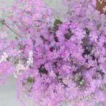 美馬市脇町の卯建の町の店先に鉢植の霞草が置かれていました。　　・控へ目でゐる美しさ霞草(和良)