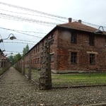 アウシュビッツ強制収容所の獄舎は今も鉄条網が張られていました。　　　・鉄条網めぐらす獄舎地虫なく（和良）