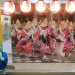 阿波踊りのない徳島の街はどこに行っても静かでした。　　　・阿波踊なき徳島の静けさよ（和良）