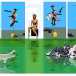 La cabeza de Pinocho y Pinocho de la cabeza a los pies, construida con el apoyo fotográfico de una escultura ya inexistente, de un maniquí, un viejo eucalipto talado y una talla de madera de unos pies muertos.