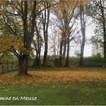 L'automne en Meuse