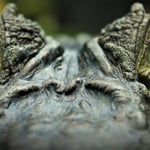 ...Auge ind Auge..., Zoo ZH