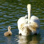 ....wenn du mal so gross bist wie ich.....