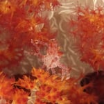 Candy Crab, wie süss